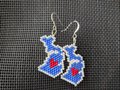 U'.S. States earrings